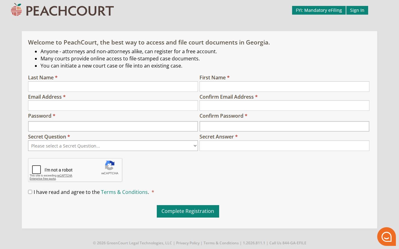 Early County civil court docket PeachCourt registration form